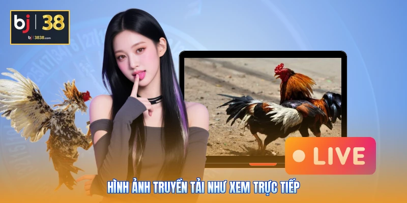 Sảnh Đá Gà BJ38 - Đột Phá Công Nghệ Live 4K, Thưởng Cực Cao 3 Hình ảnh truyền tải như xem trực tiếp