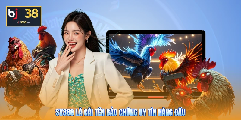 Đá Gà SV388 BJ38 - Sân Chơi Quy Tụ Các Chiến Kê Chất Lượng 4 SV388 là cái tên bảo chứng uy tín hàng đầu