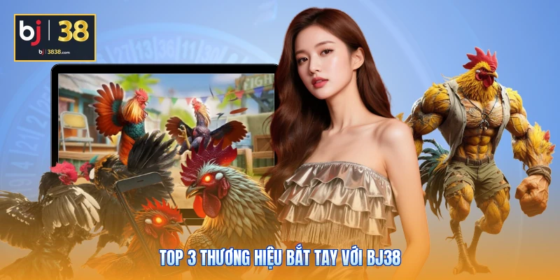 Sảnh Đá Gà BJ38 - Đột Phá Công Nghệ Live 4K, Thưởng Cực Cao 4 Top 3 thương hiệu bắt tay với BJ38