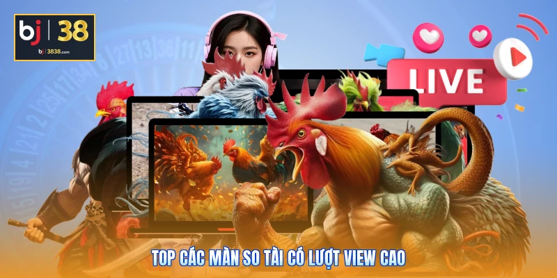 Đá Gà SV388 BJ38 - Sân Chơi Quy Tụ Các Chiến Kê Chất Lượng 3 Top các màn so tài có lượt view cao