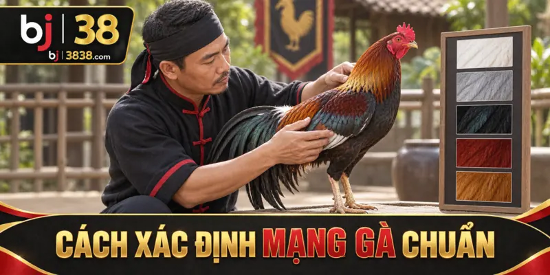 Nên quan sát thân, cánh và cổ dưới ánh sáng trung tính trước khi chốt màu chính