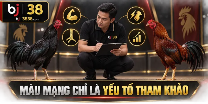 Thể trạng, chân cựa, phản xạ và phong độ vẫn là những dữ liệu quan trọng hơn màu mạng